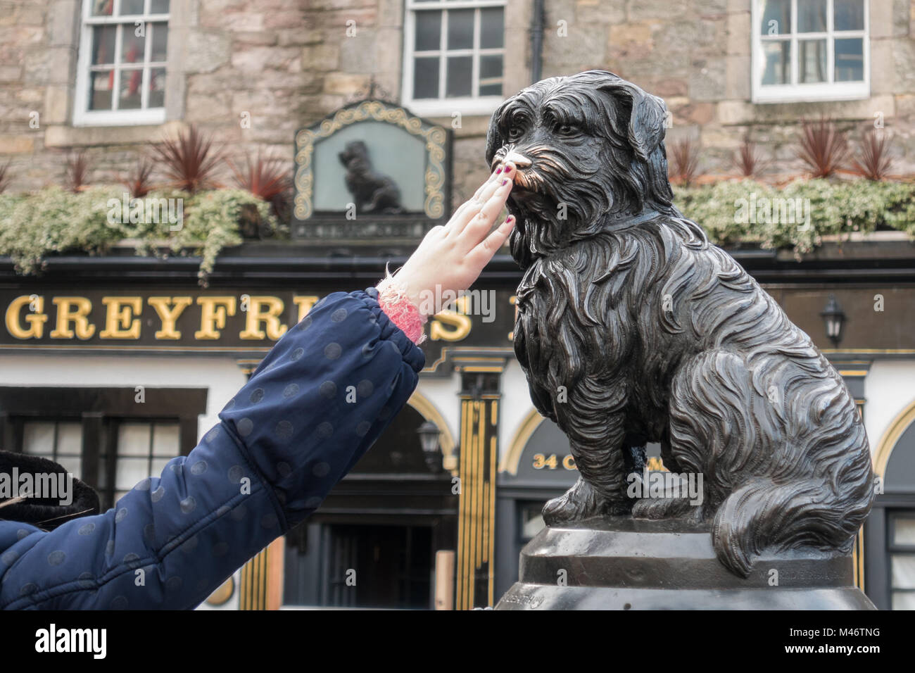 Frau Nase reiben von greyfriars Bobby für Glück - eine neue Tradition, dass Schäden, die Skulptur, Edinburgh, Schottland, Großbritannien Stockfoto