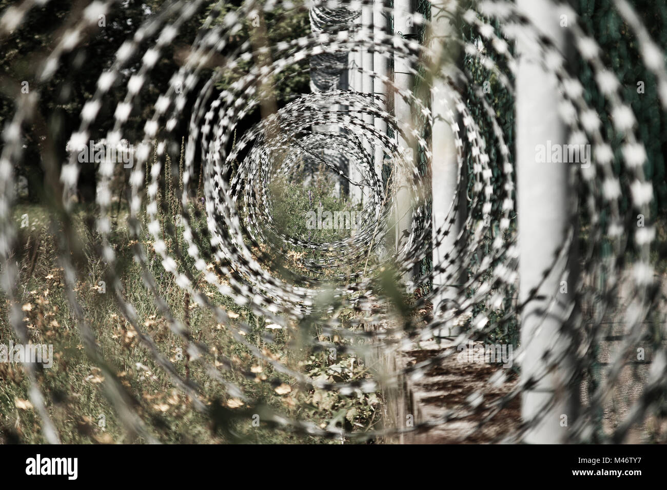 Ein Detail der Stacheldraht auf dem Zaun. Schutz, was dahinter ist. Stockfoto