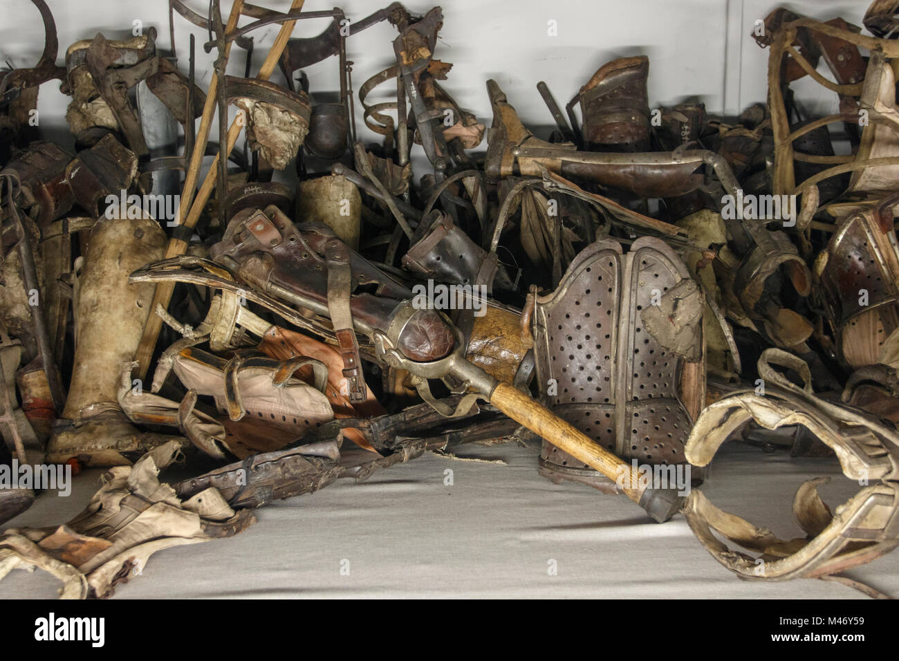 Jewish Skeleton Collection Holocaust collection -Fotos und -Bildmaterial in hoher Auflösung – Alamy