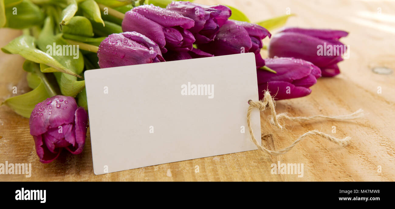 Lila Tulpen mit weißen Karte auf Holz Hintergrund. Stockfoto