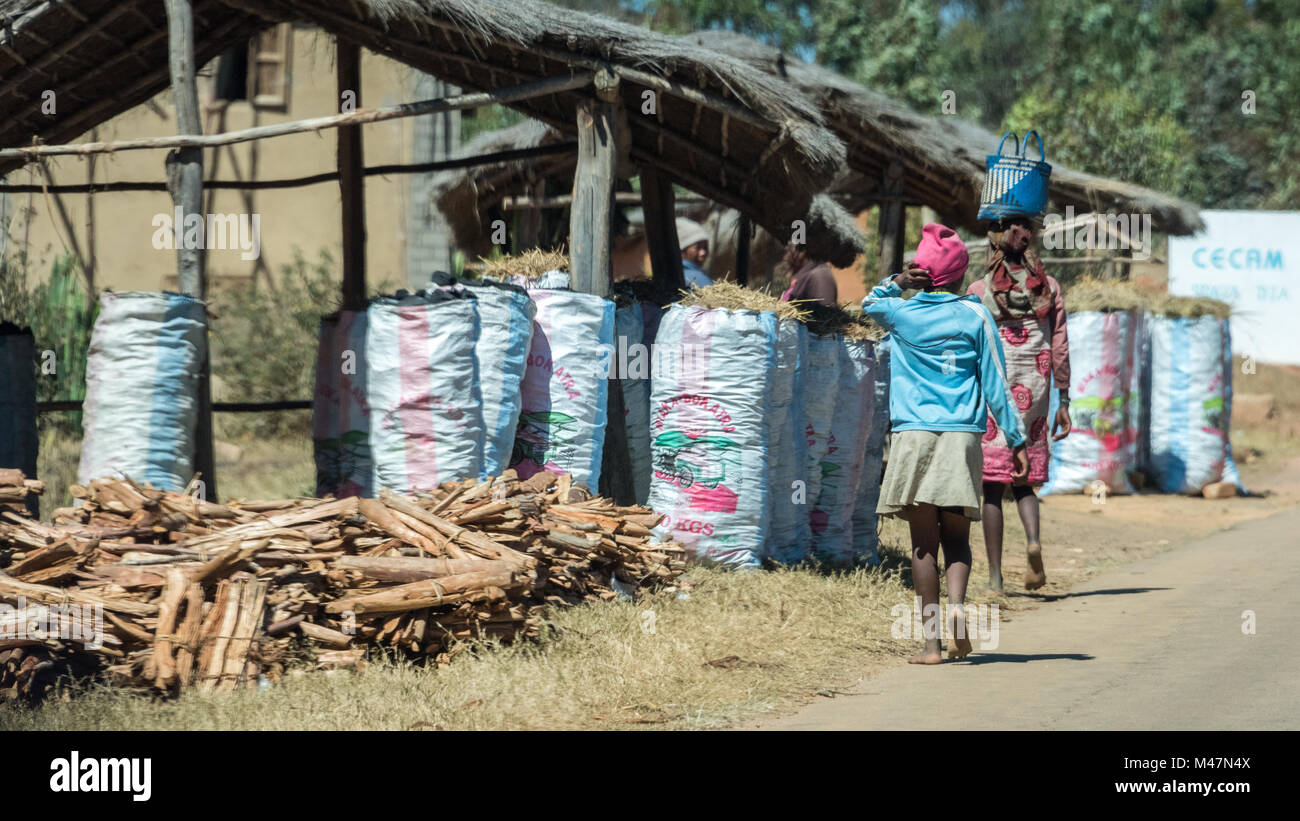 Verkauf von Holz und Kohle in Säcken für Kochen, Südliche Madagaskar Stockfoto