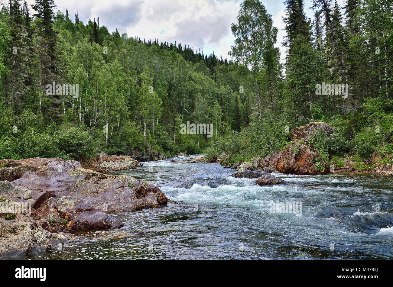 Schnell fließenden Gebirgsfluss unter dichten Wäldern und riesigen Steinen Stockfoto