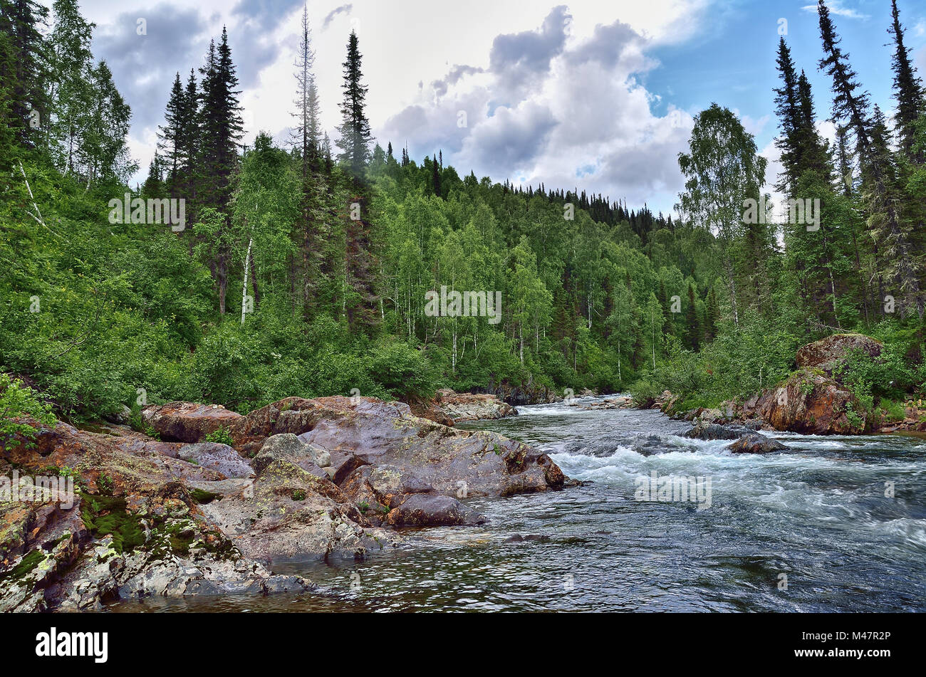 Schnell fließenden Gebirgsfluss unter dichten Wäldern und riesigen Steinen Stockfoto