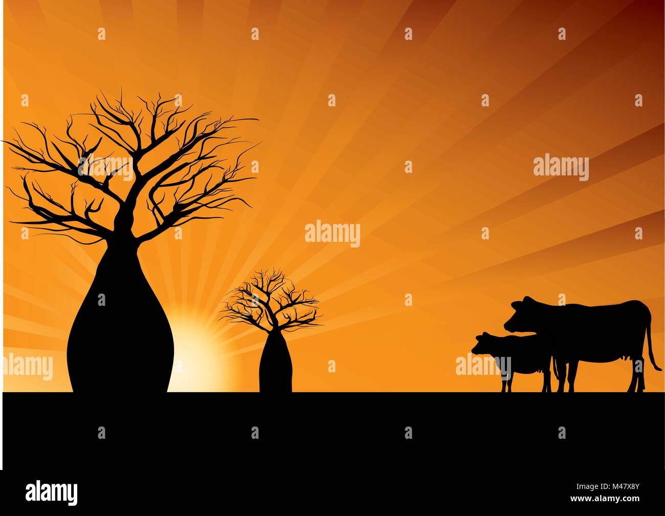 Boab Bäume und zwei Kühe mit Orange strahlen im Hintergrund Stock Vektor