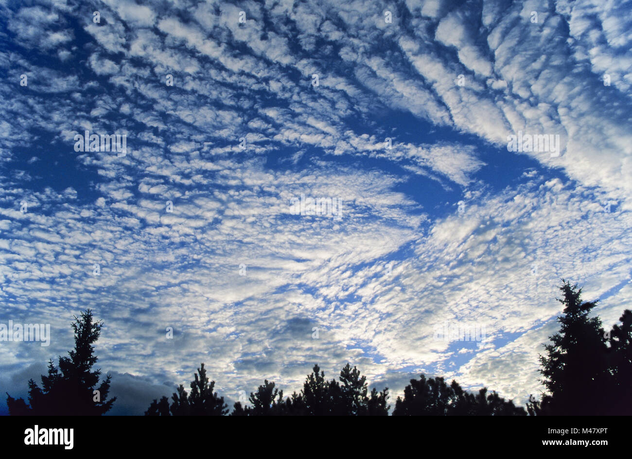 Die wolkenbildung auf der blauen Himmel/Syddanmark Stockfoto