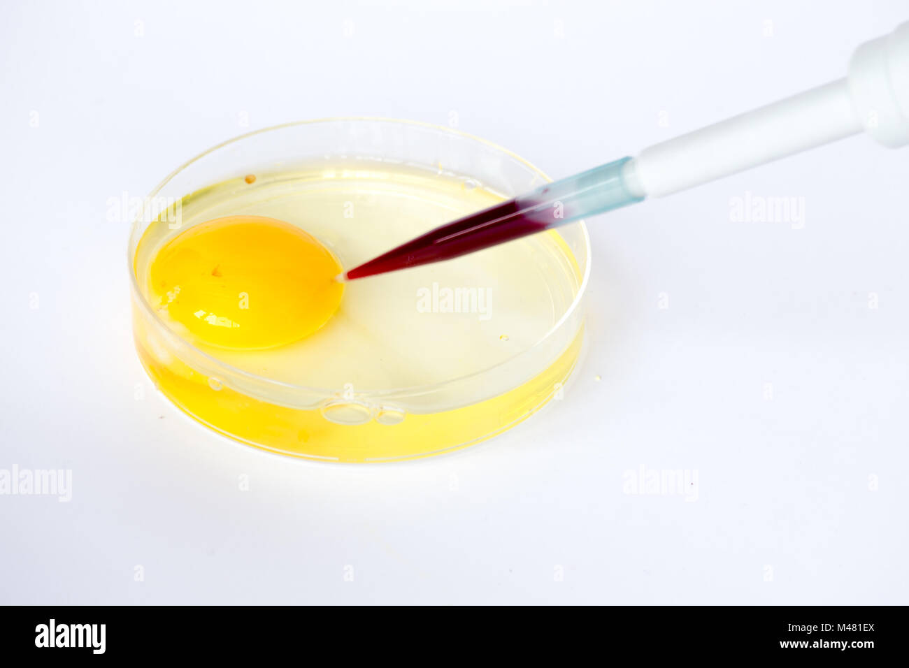 In-vitro-Befruchtung Stockfoto
