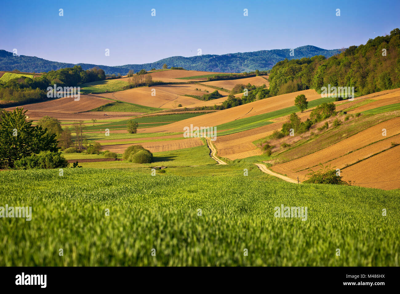 Idyllische frühling landschaft Blick auf die Felder und Wiesen Stockfoto