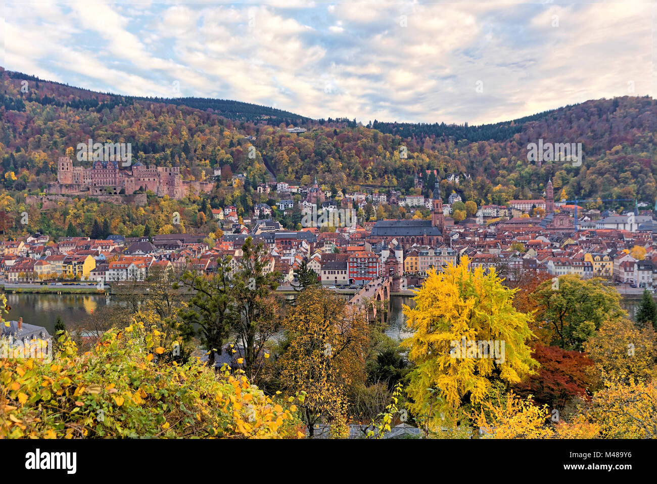 Heidelberg im Herbst Stockfoto