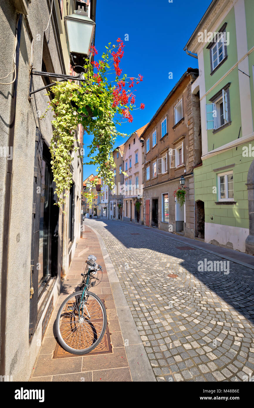 Romantische alte Straße von Ljubljana Stockfoto