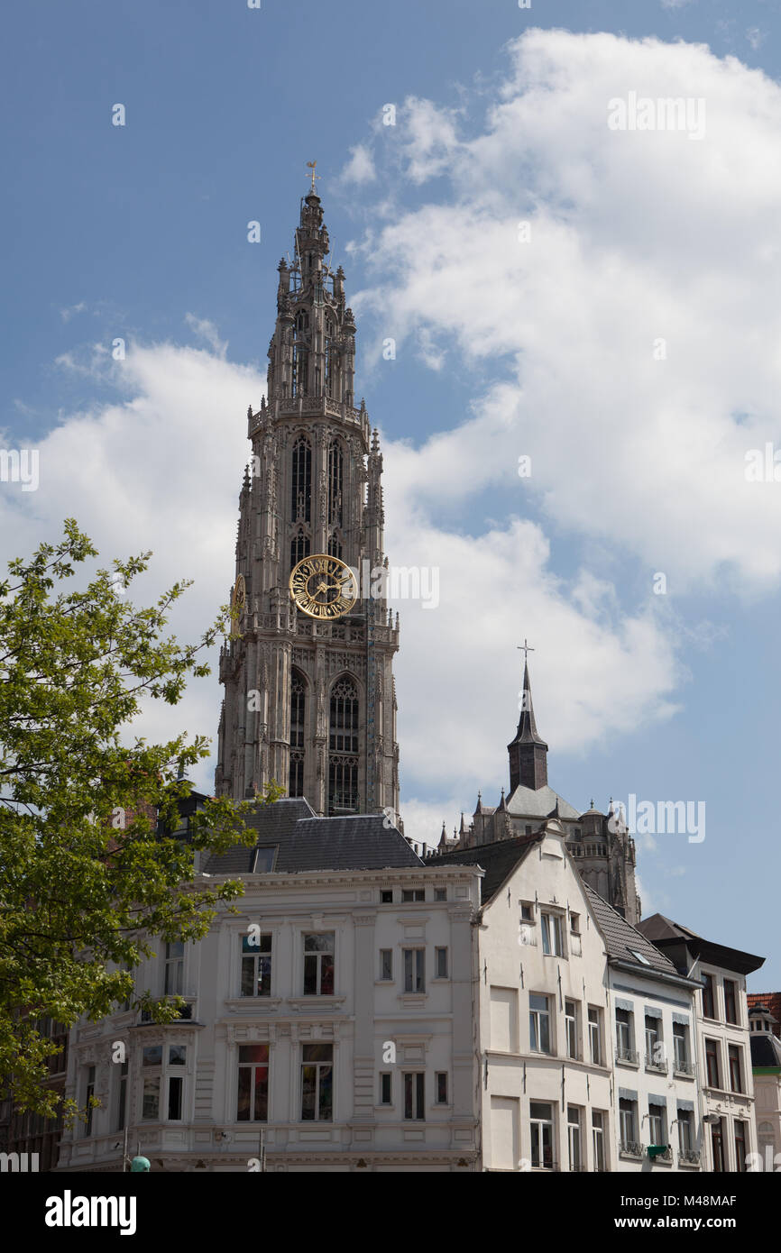 Blick über Antwerpen mit Kathedrale unserer lieben Frau genommen Stockfoto