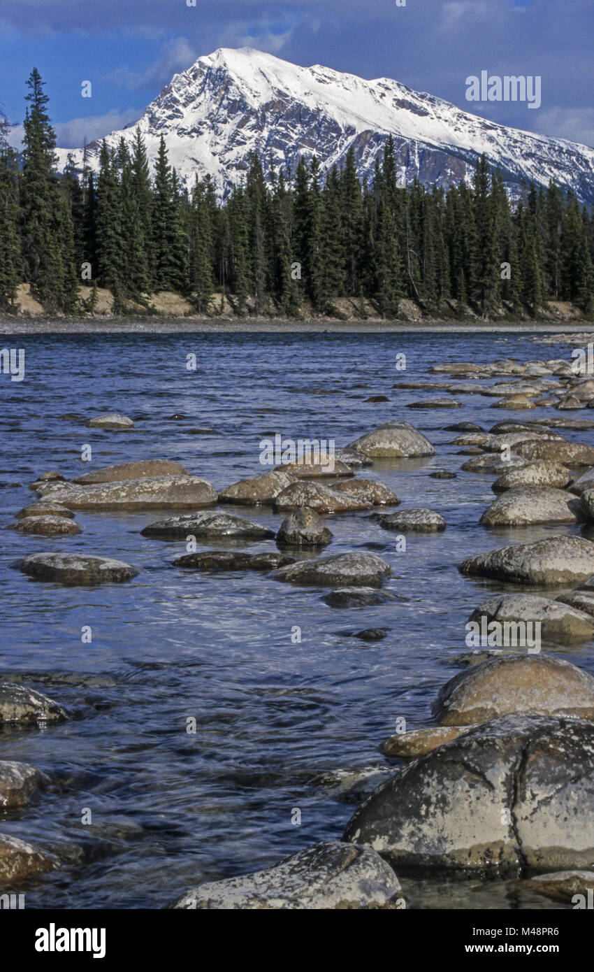 Athabasca River und Mount Hardisty/Jasper Nationalpark Stockfoto