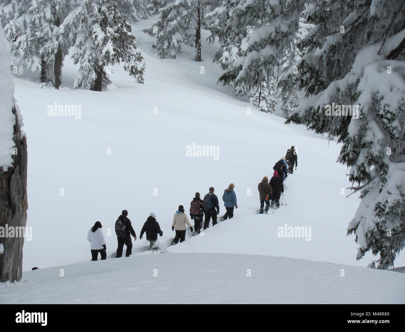 Den ganzen Winter, Park Rangers Lead Free schneeschuh jedes Wochenende Spaziergänge. Ranger führenden eine Schneeschuhwanderung Winter Stockfoto