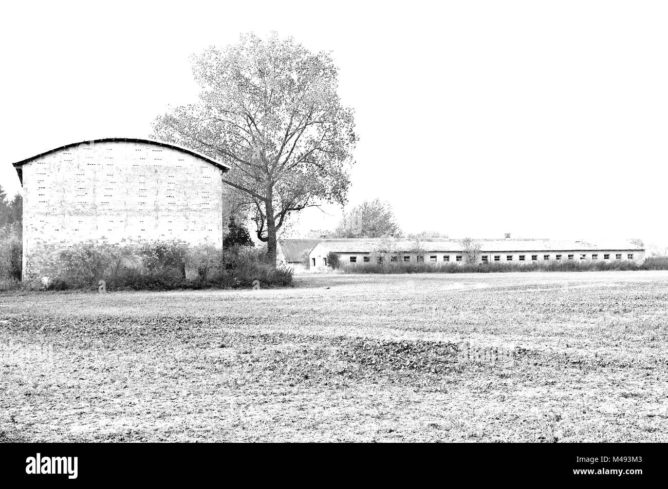 LPG Ruine in Mecklenburg-Vorpommern Deutschland weiß Stockfoto