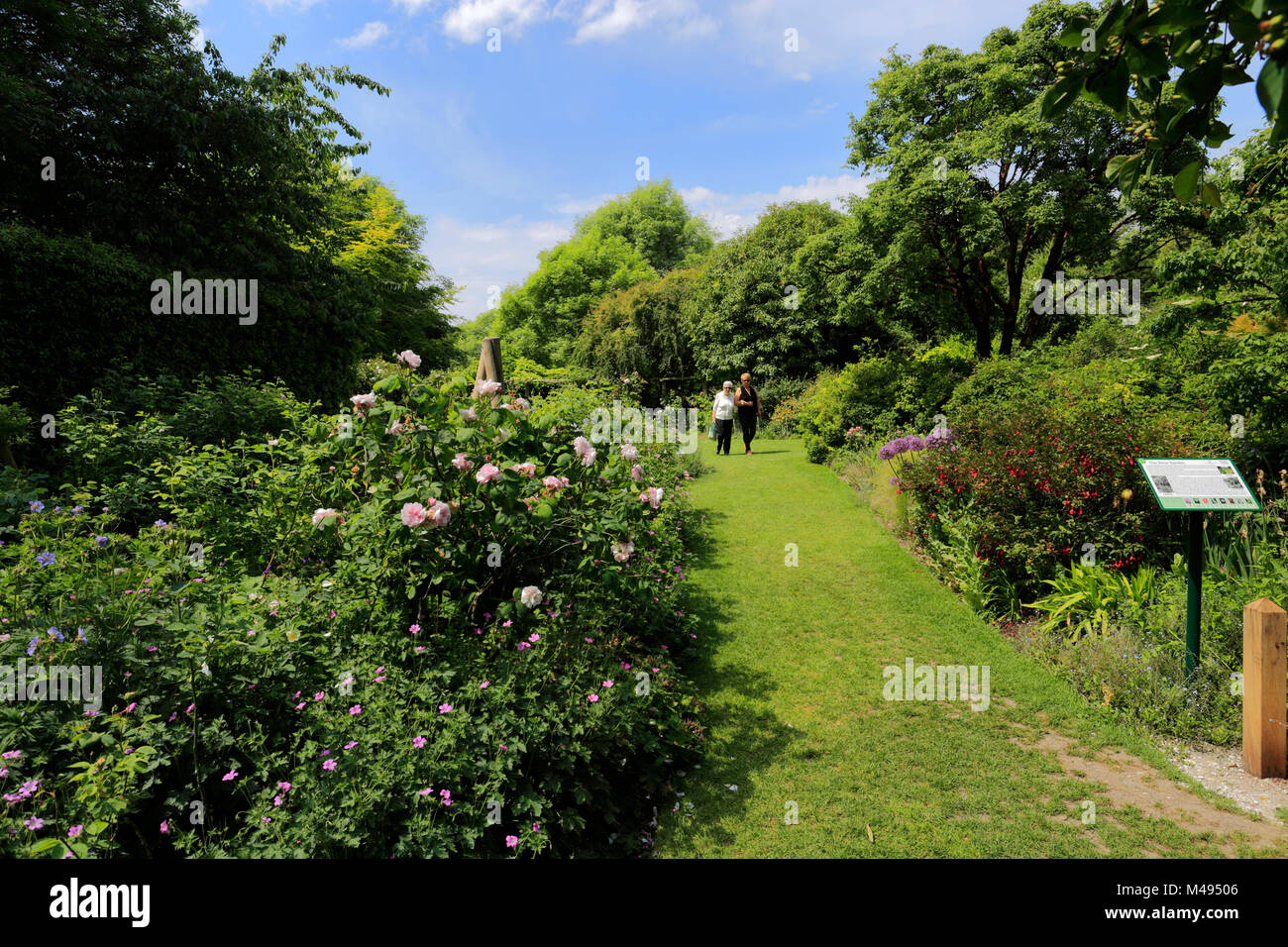 Sommer Blick in Highdown Gärten, Goring-by-Sea Village, West Sussex, England, Großbritannien Stockfoto