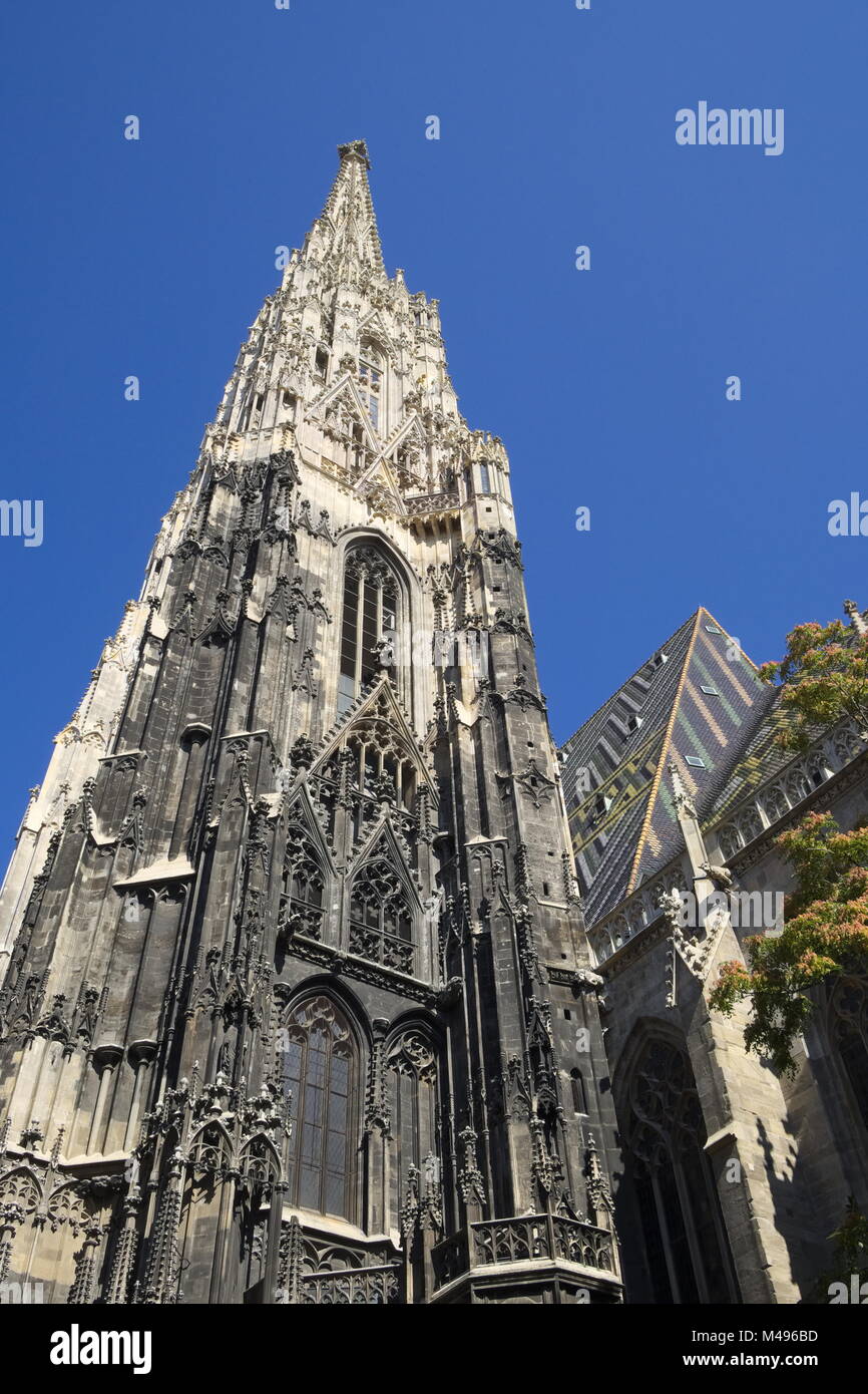 Wien - Stephansdom Stockfoto