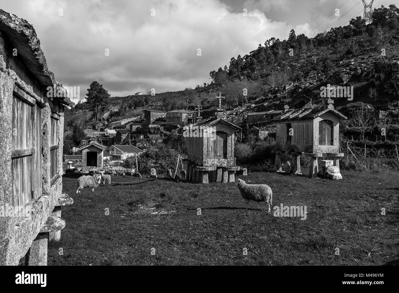 Das kleine Dorf Paneda im Norden Portugals Stockfoto