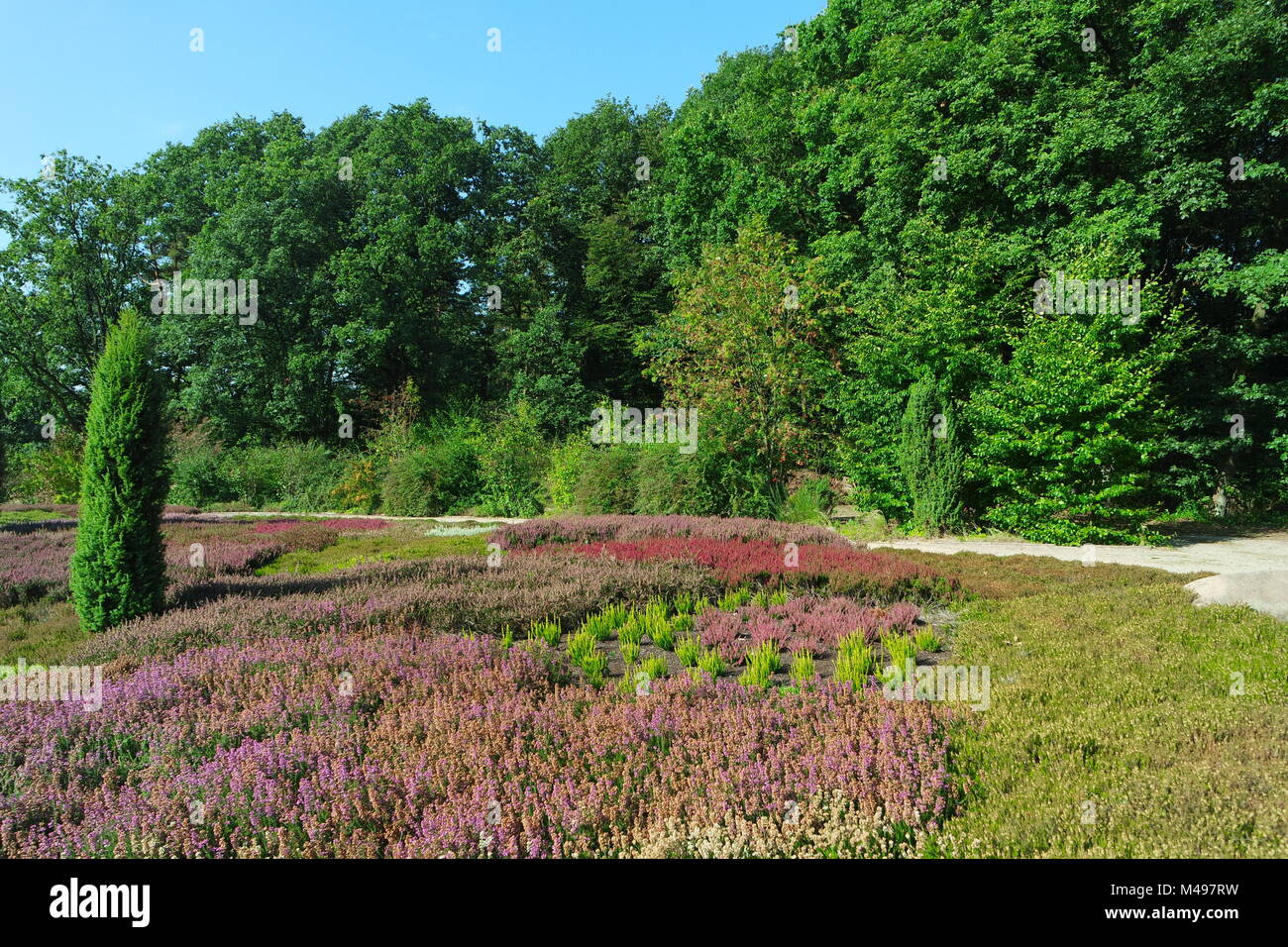 Der Heidegarten In Stockfotos und bilder Kaufen Alamy