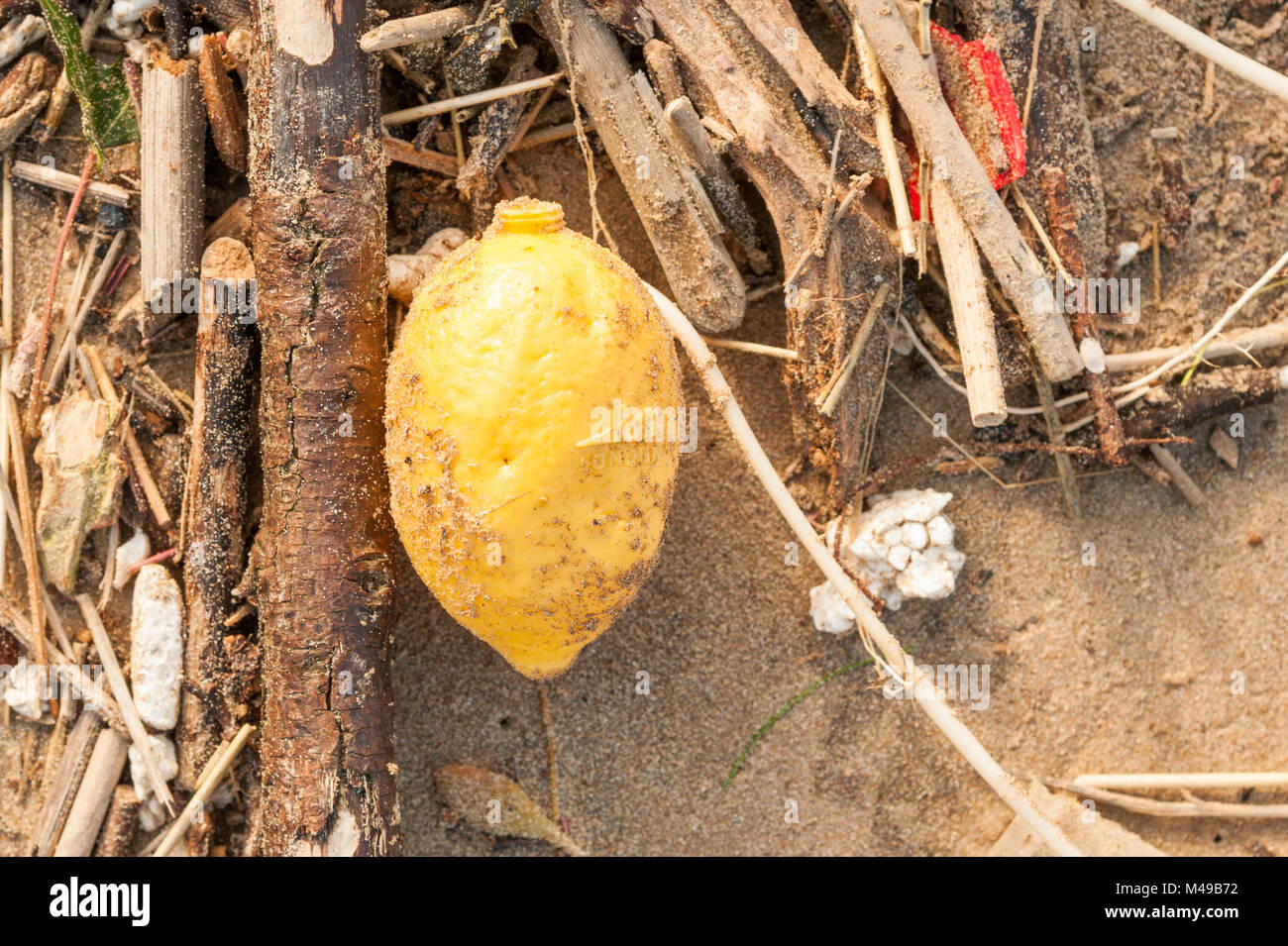 Detritus einschließlich einer Auswahl von Kunststoffen angespült auf Cefn Sidan, Pembrey. West Wales. UK. Stockfoto