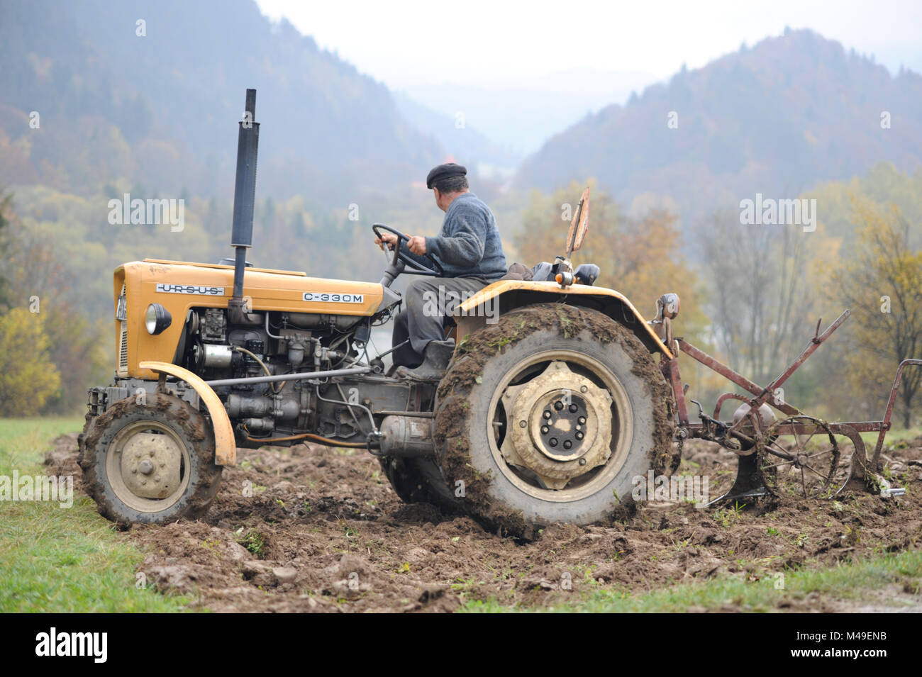 Landwirt pflügt das Feld mit einem Traktor auf dem Fluss Dunajec Tal in den Pieniny im südlichen Polen. 2009 Stockfoto