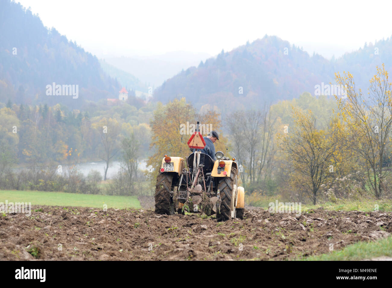Landwirt pflügt das Feld mit einem Traktor auf dem Fluss Dunajec Tal in den Pieniny im südlichen Polen. 2009 Stockfoto