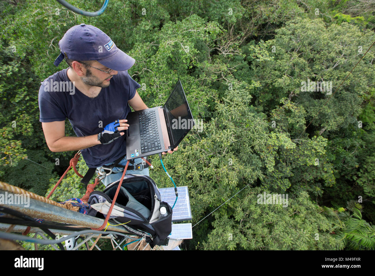 Mann mit Laptop auf der 48 m hohe Turm können Daten über die CO2- und O2-Gehalt zu erfassen. Tropischer Regenwald, Barro Colorado Island, Gatun See, Panama Canal, Panama. November 2012. Stockfoto