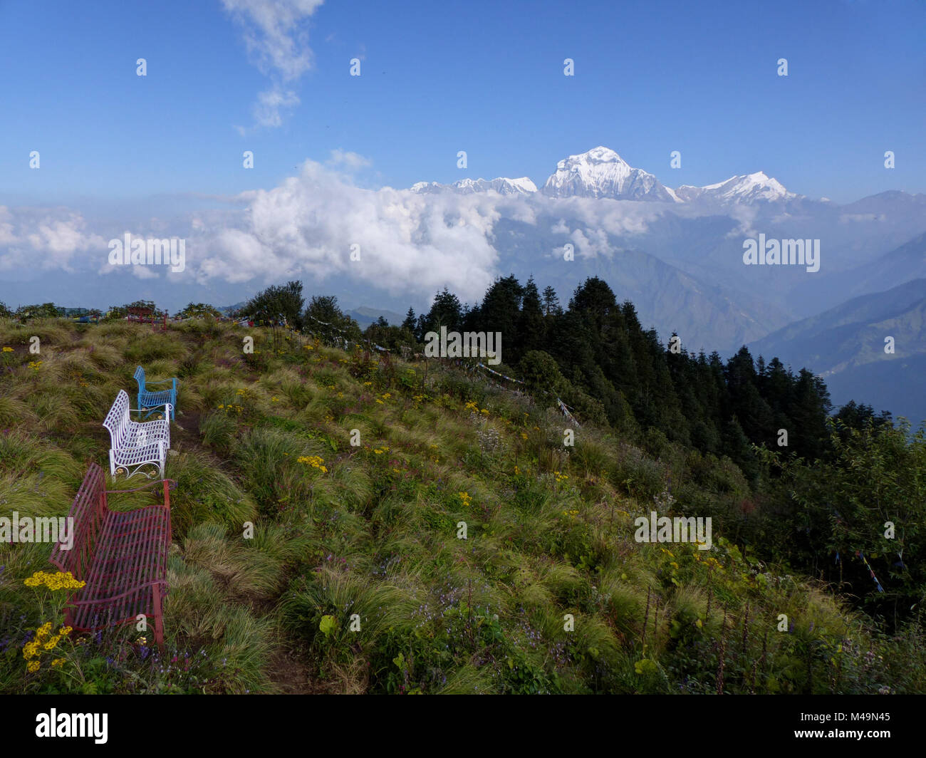 Dhaulagiri reichen von Poon Hill - einer der schönsten Aussichtspunkte des Himalaya in Nepal besucht, Blick auf die schneebedeckten Himalaya, Annapurna Circuit, bunt sein Stockfoto