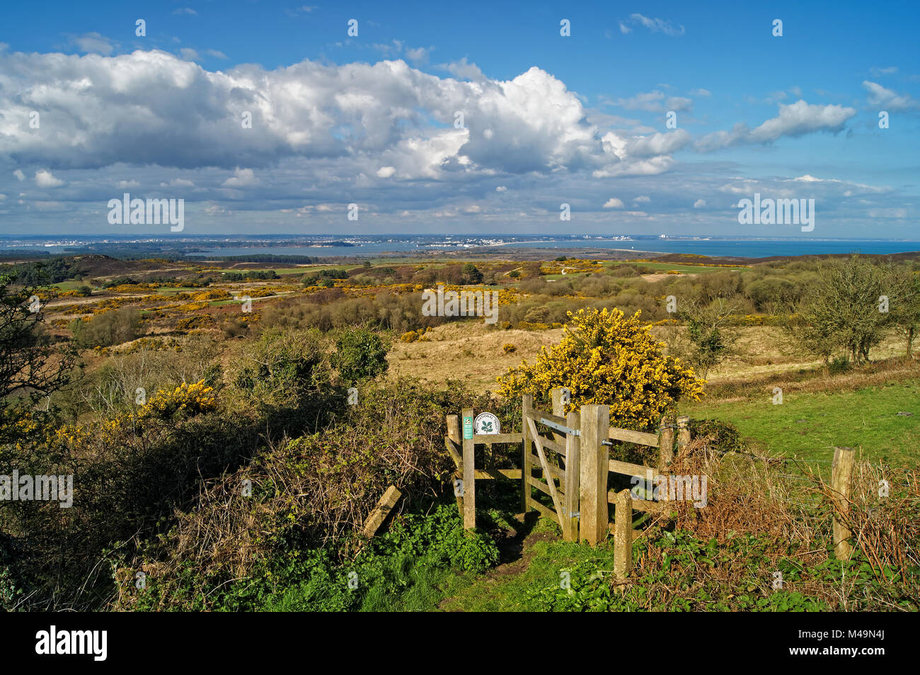 UK, Dorset, Isle of Purbeck, Newtown Aussichtspunkt mit Insel Purbeck Golf Club, Godlingston Heide & Poole Harbour in der Entfernung Stockfoto