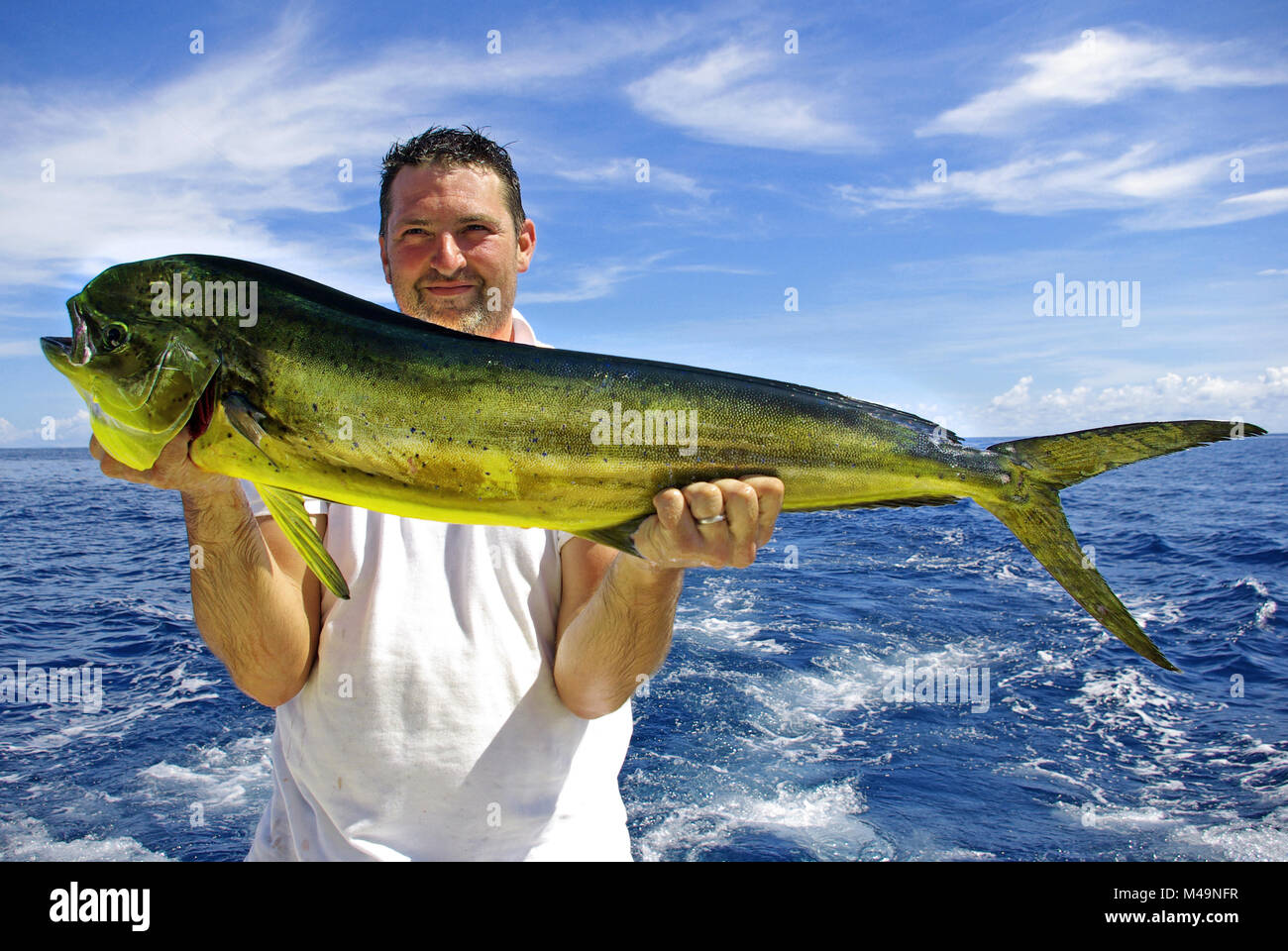 Hochseefischen, Big Game Fishing. Fang von Fischen. Lucky Fisherman Holding eine wunderschöne Delfine (Mahi Mahi) Stockfoto