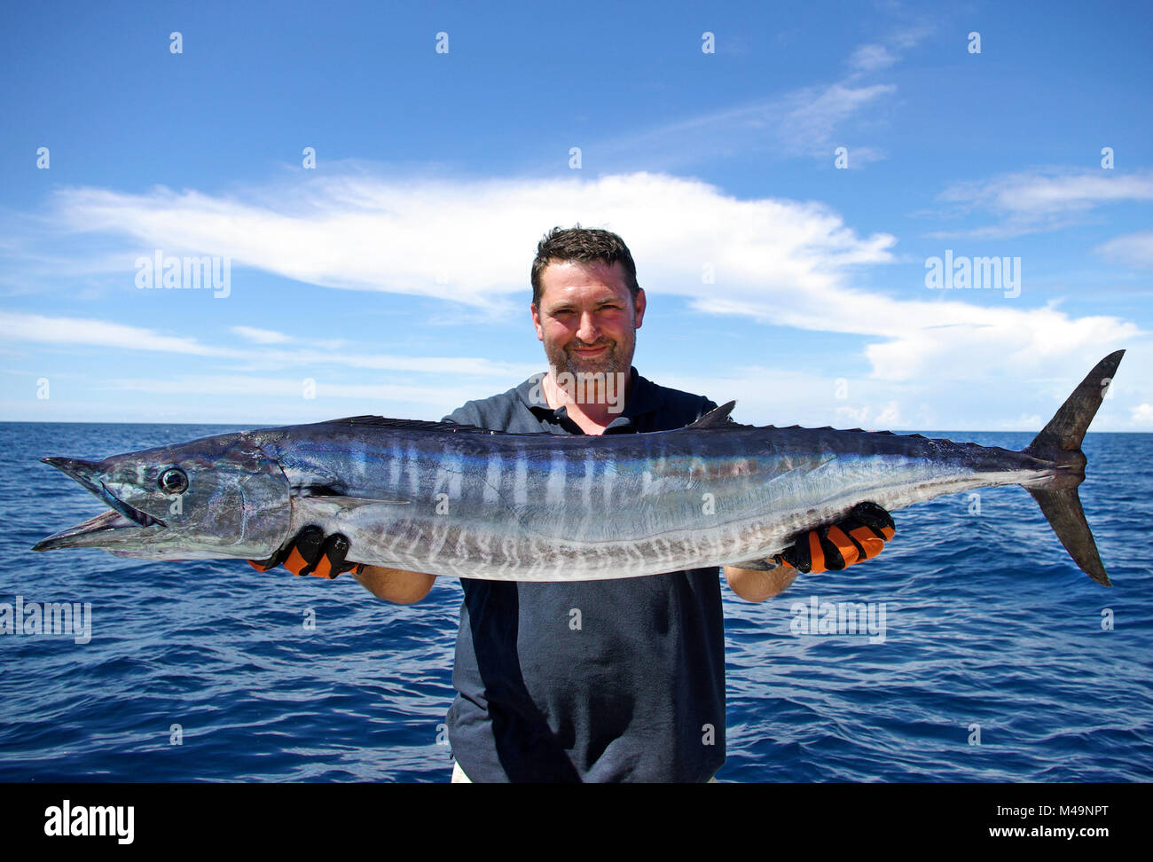 Hochseefischen, Big Game Fishing. Fang von Fischen. Lucky Fisherman Holding eine massive Wahoo fish Stockfoto