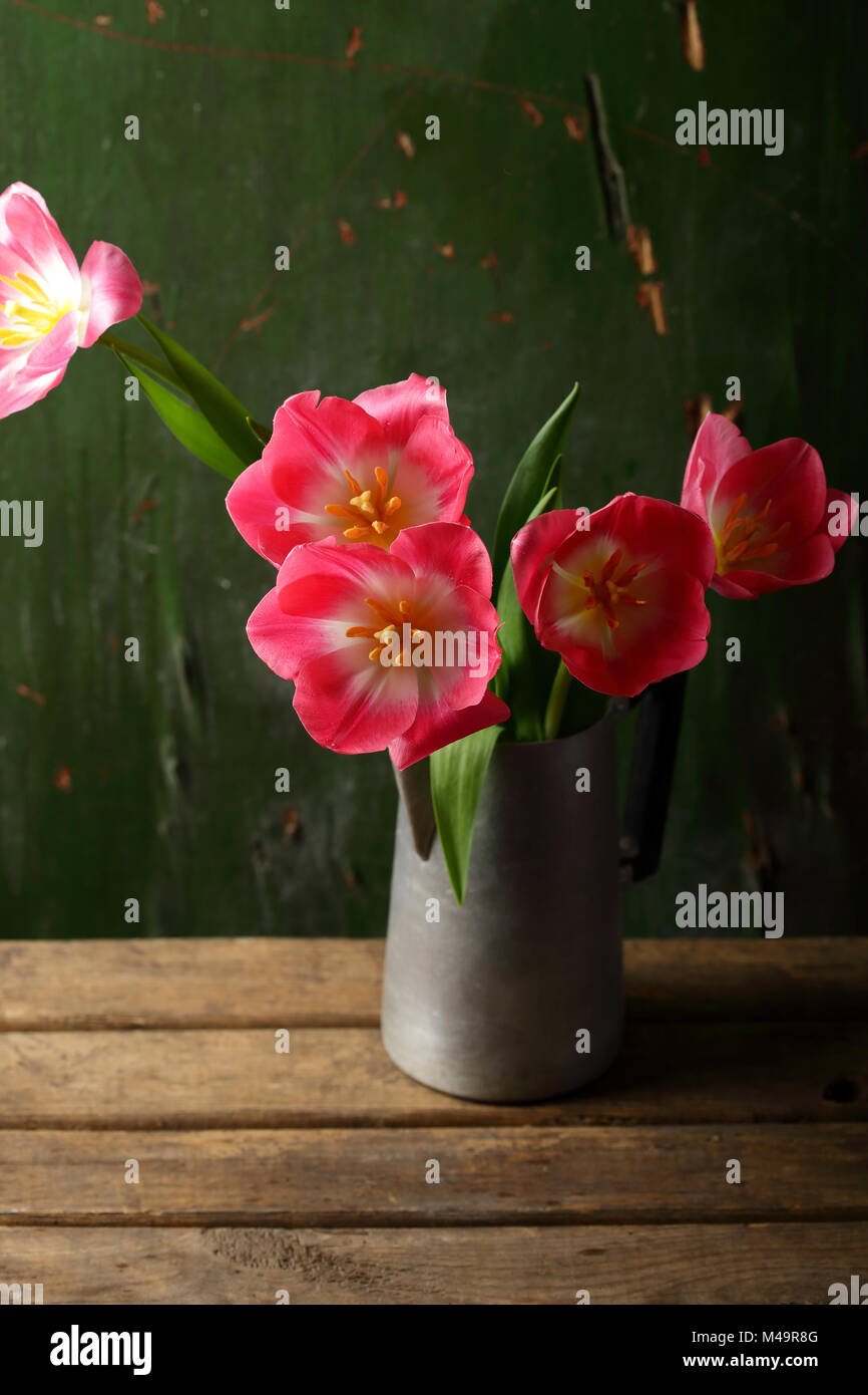Feder Blumenstrauß aus Tulpen Stockfoto