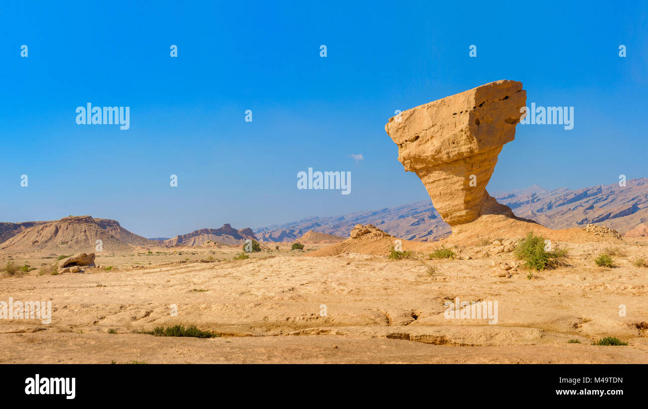 Skulpturen aus Stein von einer bizarren Gestalt mitten in der Steinwüste Stockfoto