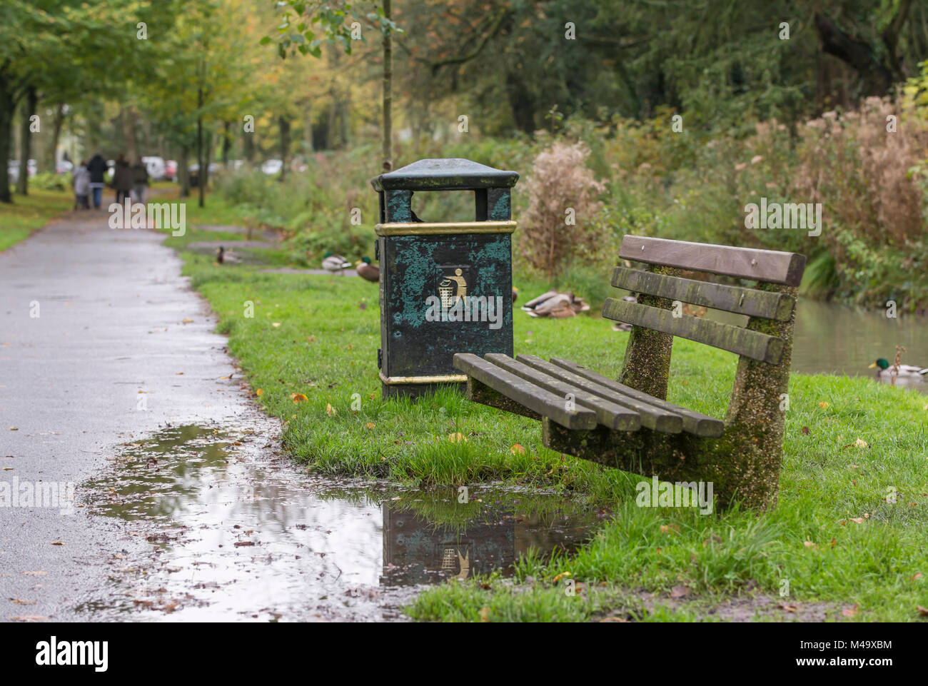 Holz Parkbank nach starkem Regen mit einer großen Pfütze, und niemand im Herbst in England, Großbritannien. Stockfoto