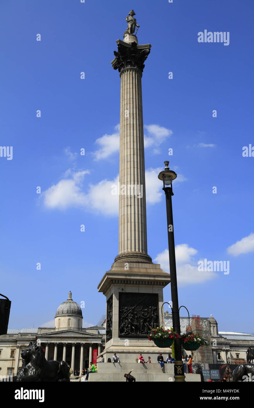 Nelson Spalte Denkmal auf dem Trafalgar Square in London. Stockfoto