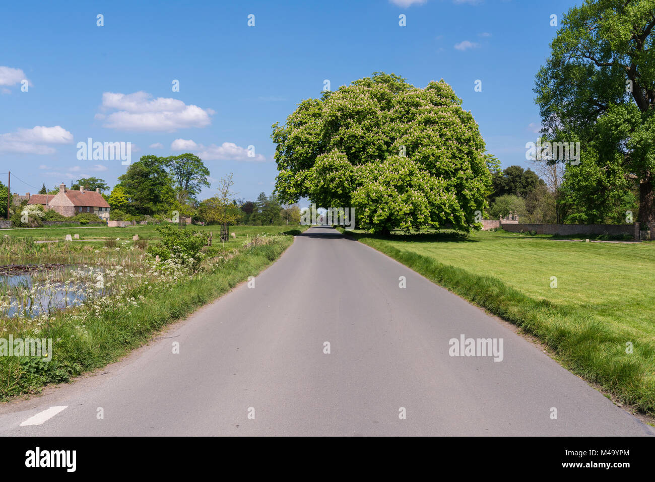 Blick auf der längsten English Village Green in Frampton auf Severn, Gloucestershire, VEREINIGTES KÖNIGREICH Stockfoto