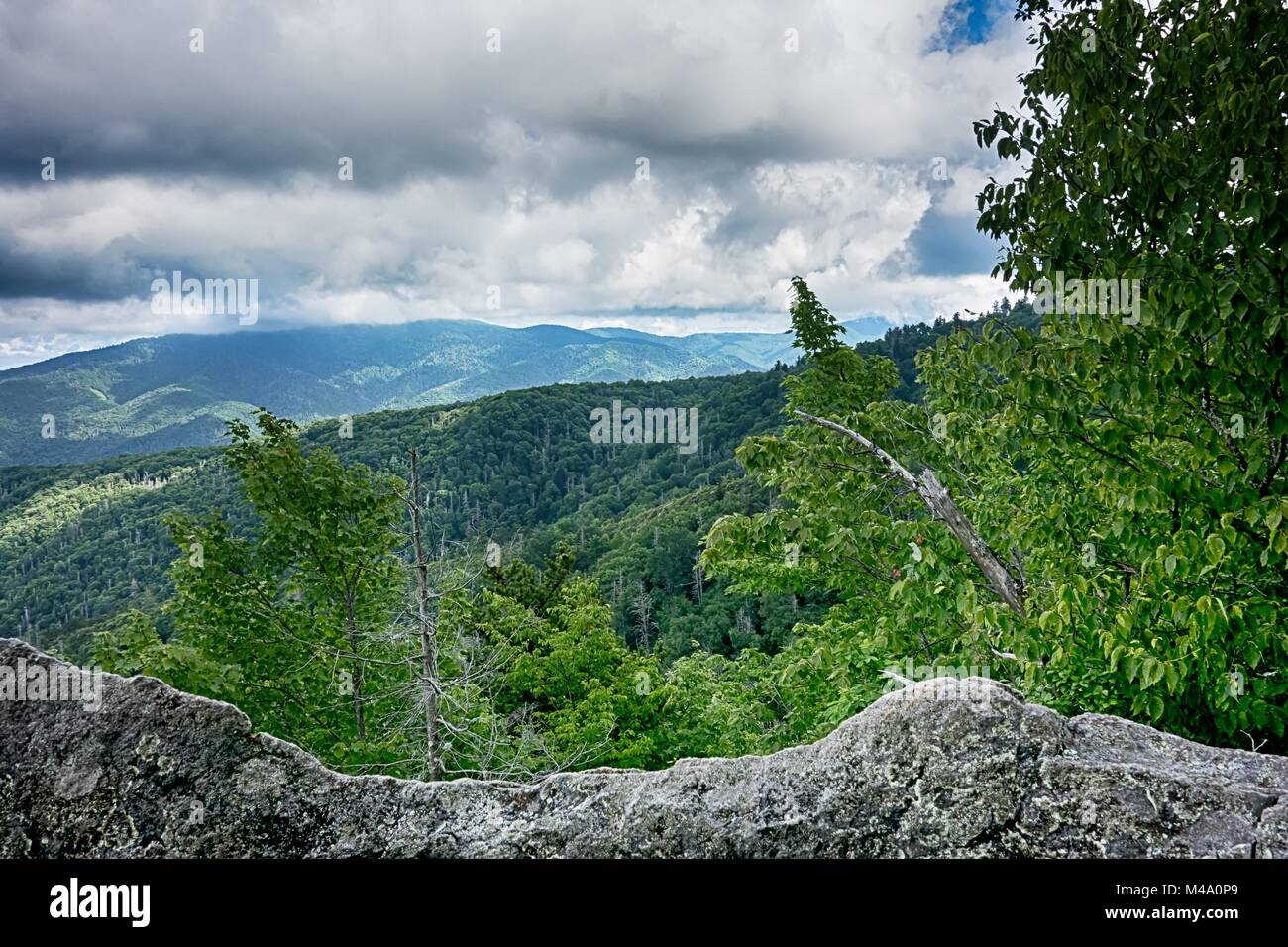 Szenen entlang Appalachian Trail im Great Smoky Mountains Stockfoto