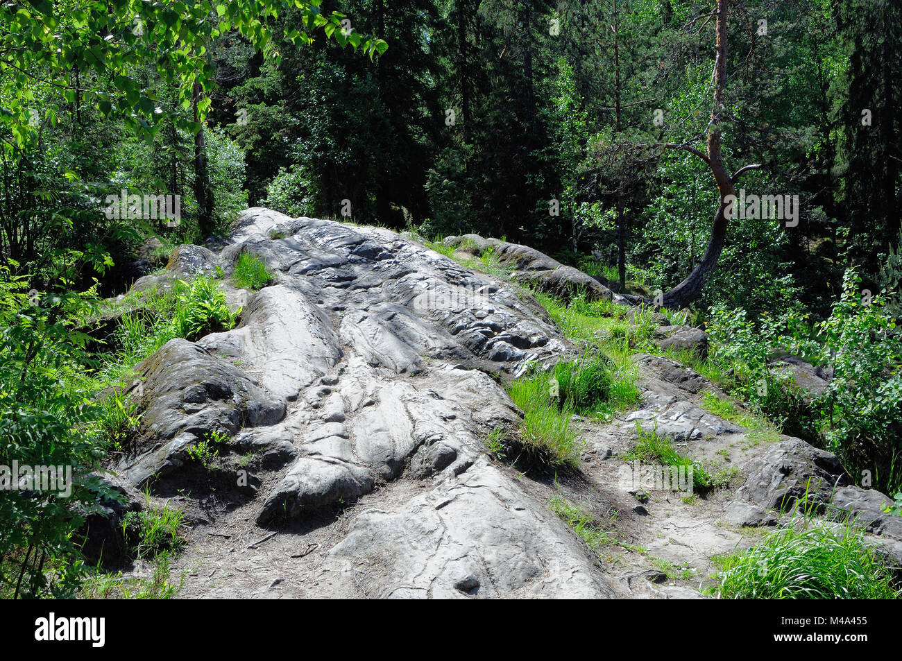 Sonnenbeschienenen Stein im wilden Wald Stockfoto