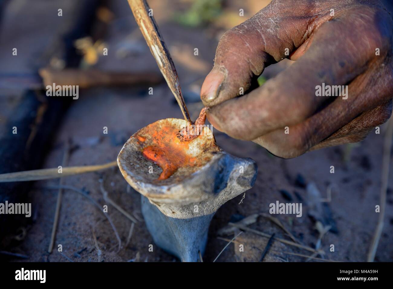 Bushman von der Ju/'Hoansi-San produziert giftige Pfeile aus einem Larven der Buschmann Pfeil - Gift Käfer (Diamphidia Stockfoto