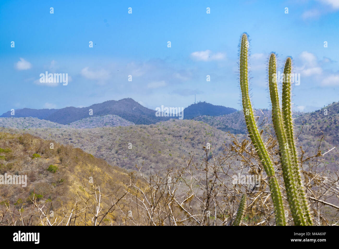 Landschaft Szene Nationalpark Machalilla Ecuador Stockfoto