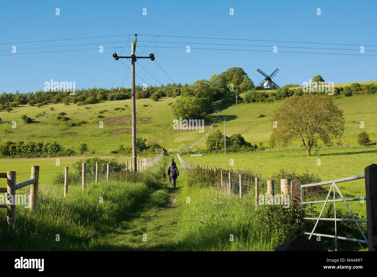 Englisch Land Landschaft mit Menschen zu Fuß Hunde und eine Windmühle am Horizont © Jeremy Graham-Cumming Stockfoto
