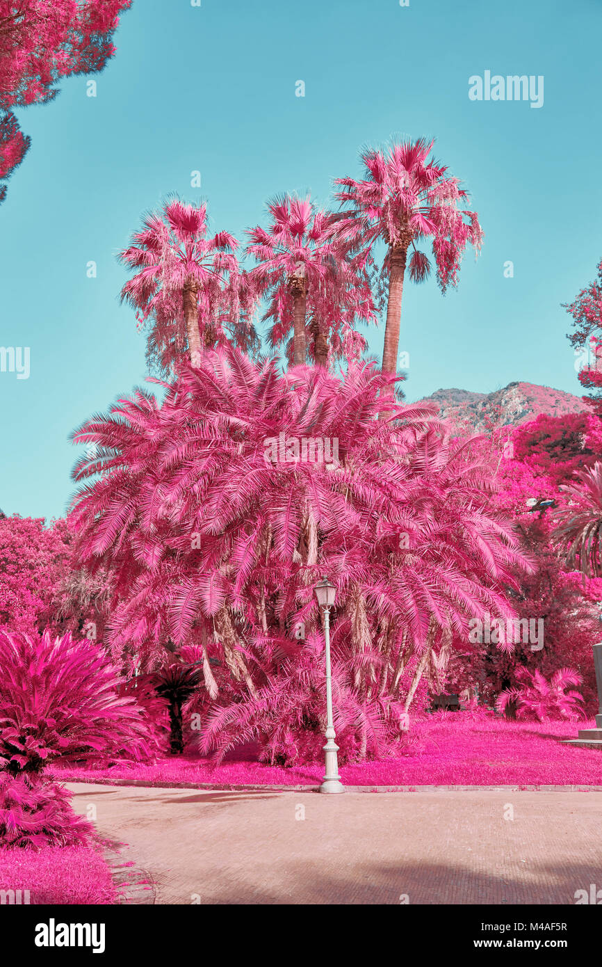 Fantasy tropische Landschaft mit Palmen in Pastelltönen mit Hilfe von ir-filter Stockfoto