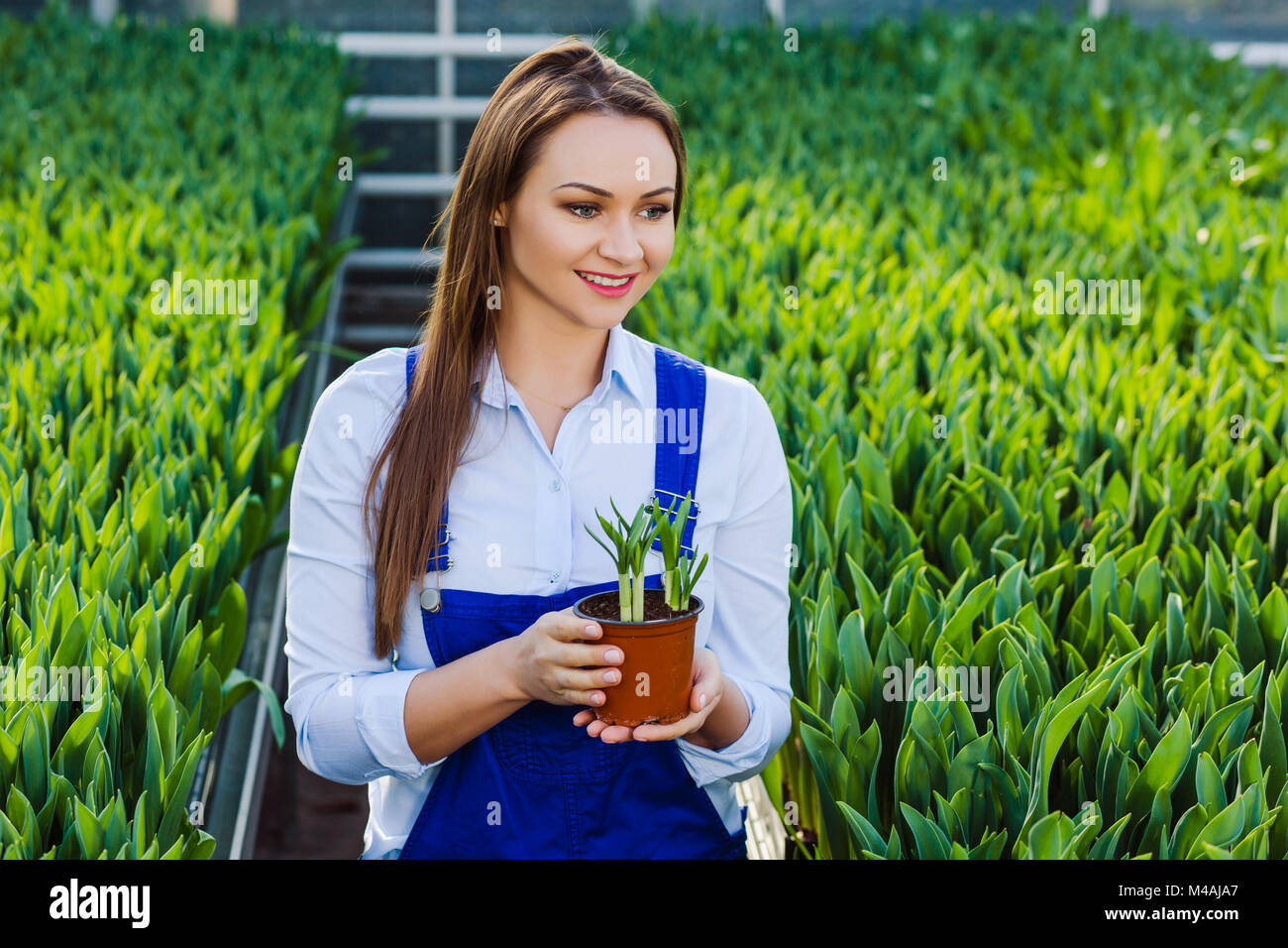 Frau Gärtner im Garten Center, mit einer Topfpflanze in Ihren Händen Stockfoto