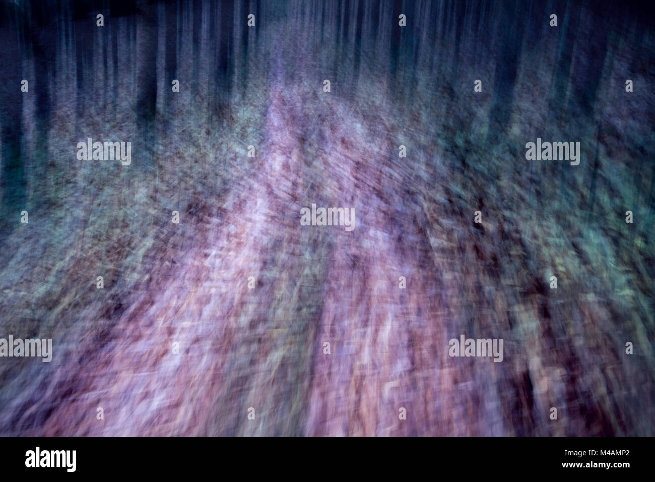 Traumatische Pfad im Wald Stockfoto