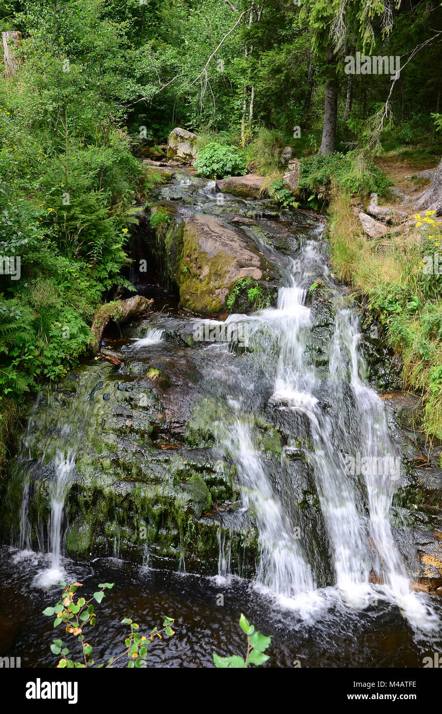 Schwarzwald, Deutschland, Europa, Menzenschwander Wasserfall, Stockfoto