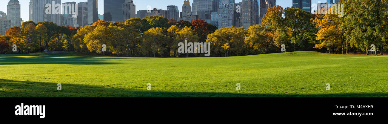 Panoramablick auf den Central Park South Schafe Wiese in der frühen Morgensonne. Manhattan, New York City Stockfoto