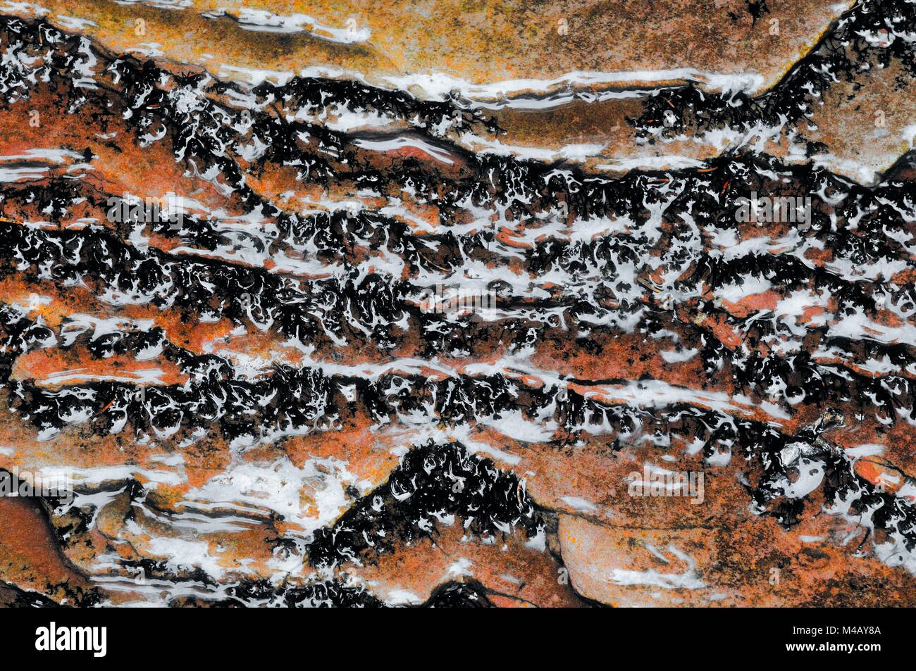 Wasser in der Natur Grundlage des Lebens unserer Welt Stockfoto