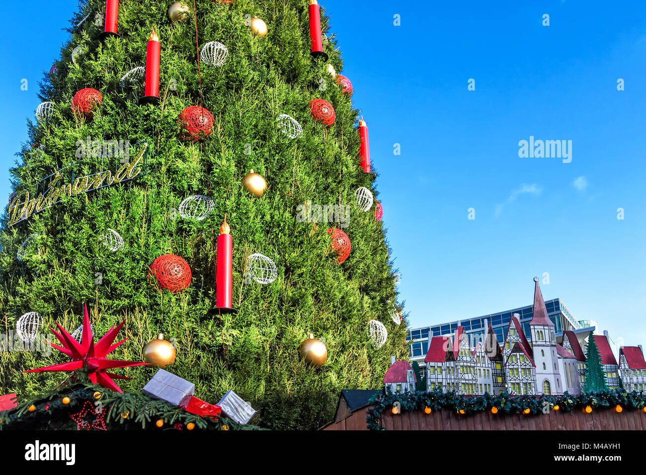 Riesige Weihnachtsbaum (aus Hunderten von Roten Fichten) auf dem Alten Markt in Dortmund, Deutschland Stockfoto