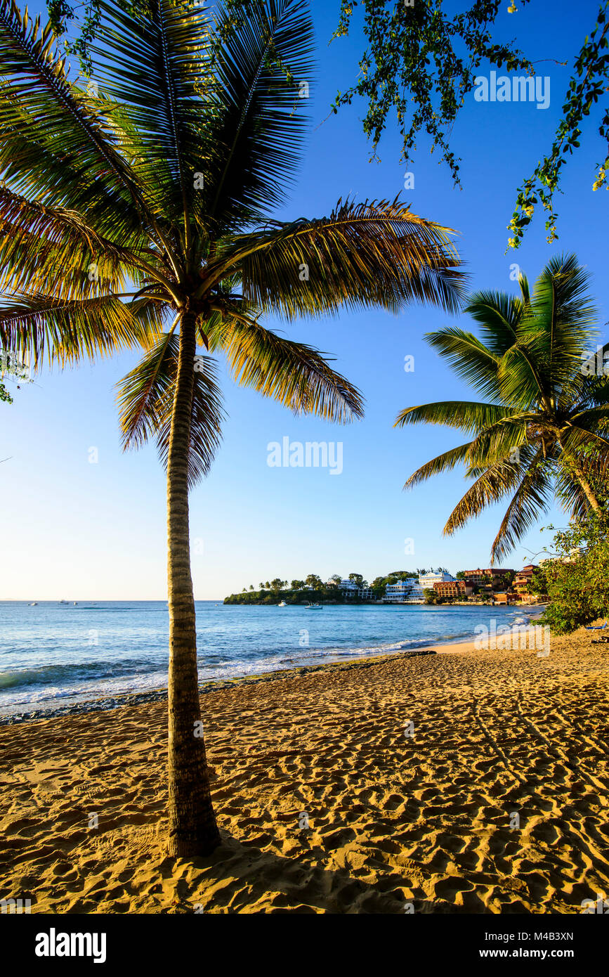 Strand von Sosua, Dominikanische Republik Stockfoto