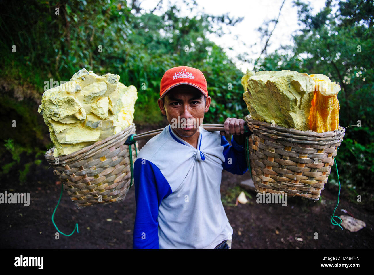 Der Mensch trägt Schwefel in Körbe Ijen Vulkan, Java, Indonesien Stockfoto