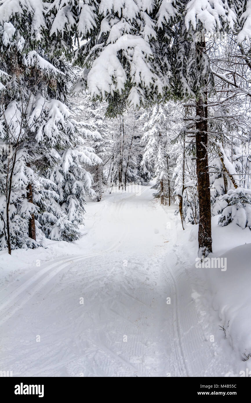 Landschaft der schneebedeckten Berge in den Highlands Stockfoto