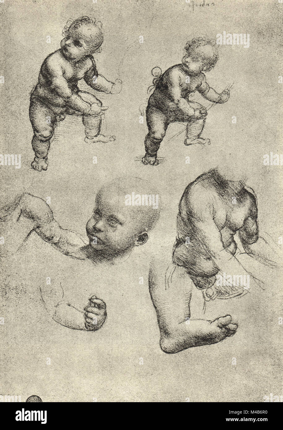 Anatomische Zeichnung, Studien eines Kindes und Teile eines Kindes, die von Leonardo Da Vinci, ca. 1508 gezeichnet Stockfoto